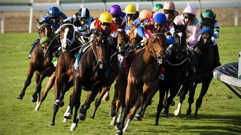 how does horse betting work